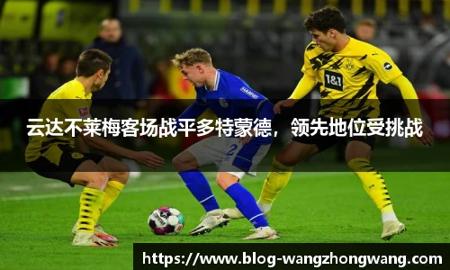 王中王官网资料