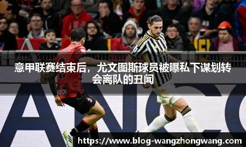 王中王官网资料