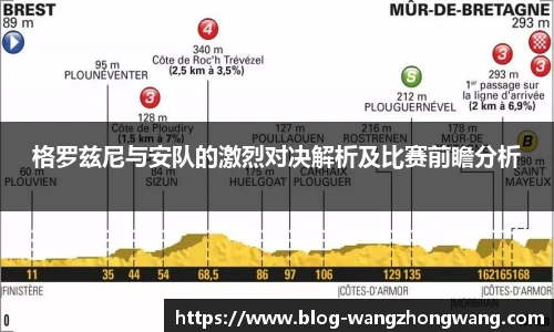王中王资料大全