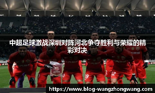 王中王资料大全